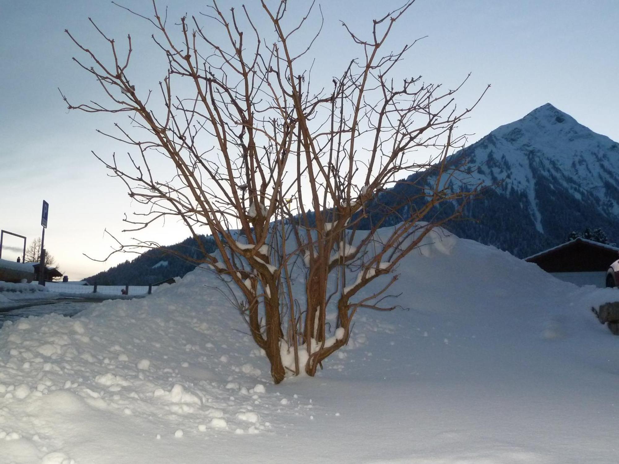 Hotel Restaurant Sunnmatt Aeschi Bei Spiez Zewnętrze zdjęcie