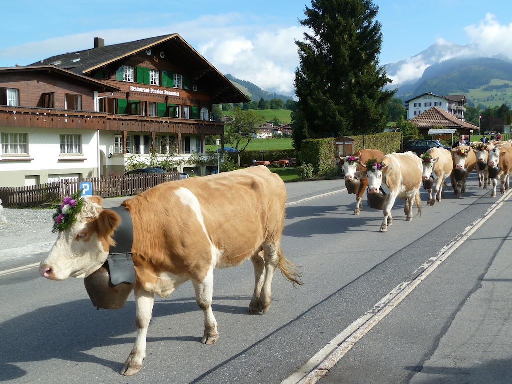 Hotel Restaurant Sunnmatt Aeschi Bei Spiez Zewnętrze zdjęcie