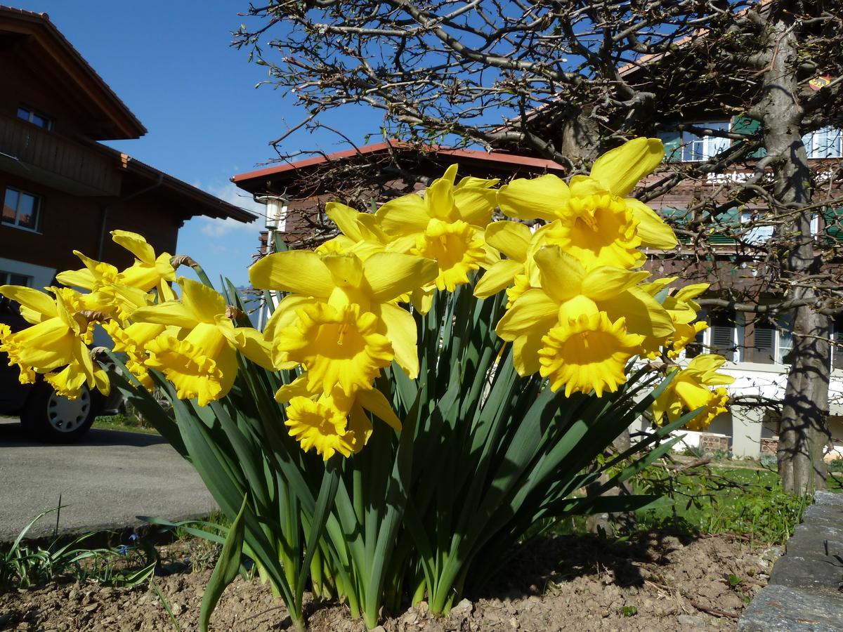 Hotel Restaurant Sunnmatt Aeschi Bei Spiez Zewnętrze zdjęcie