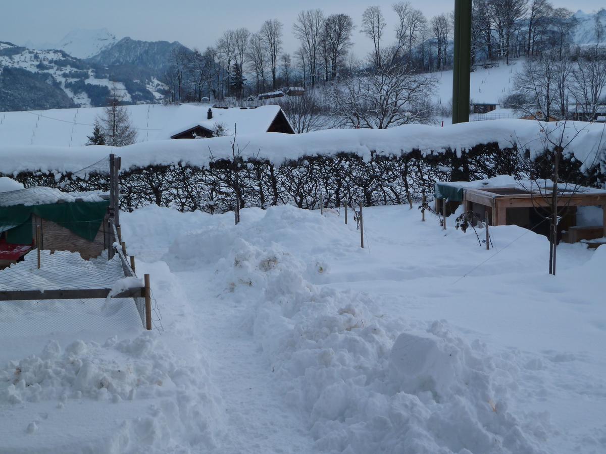 Hotel Restaurant Sunnmatt Aeschi Bei Spiez Zewnętrze zdjęcie